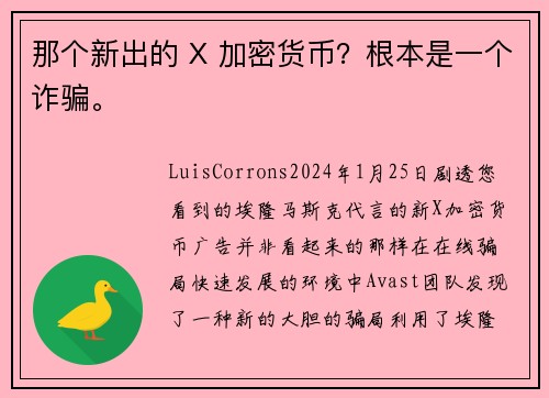 那个新出的 X 加密货币？根本是一个诈骗。