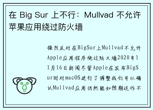 在 Big Sur 上不行：Mullvad 不允许苹果应用绕过防火墙 